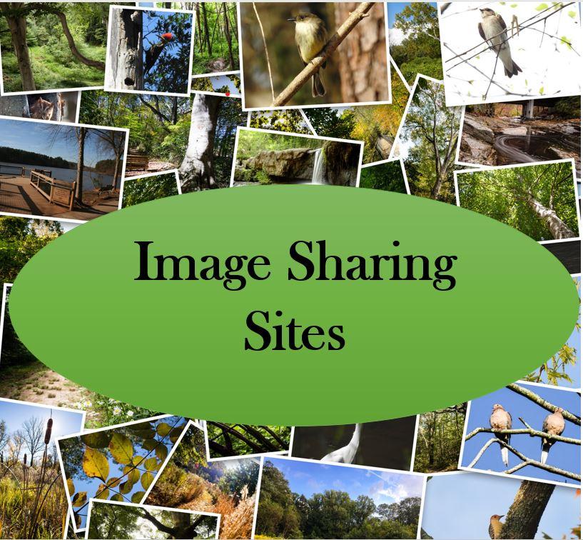 Image sharing sites