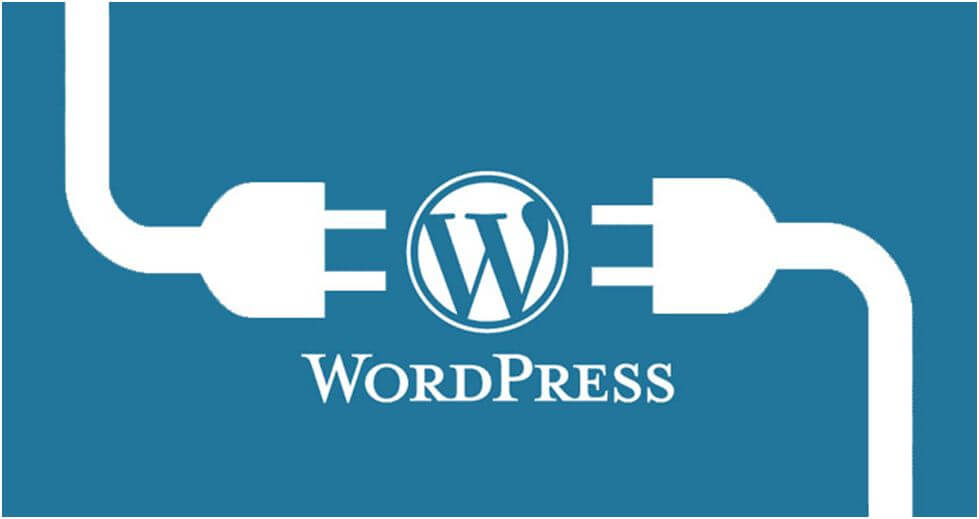 Install WordPress, Themes and Plugins