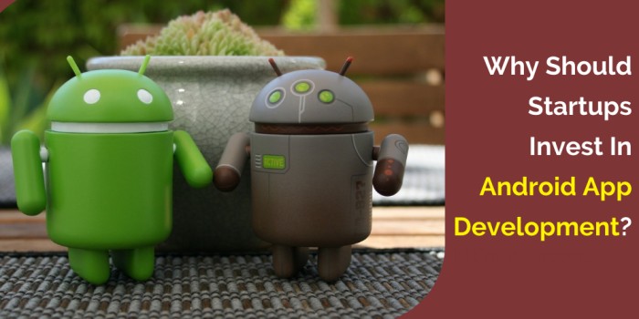 Why Should Startups Invest In Android App Development