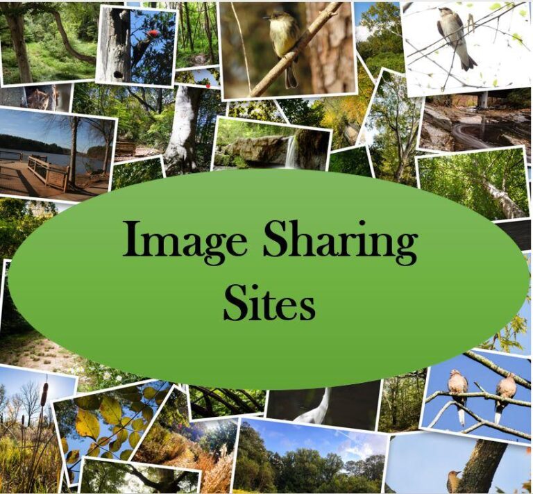 Free Image Sharing Sites List 2024 | CompleteConnection